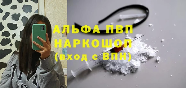 мдпв Елабуга