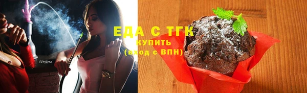 мдпв Елабуга