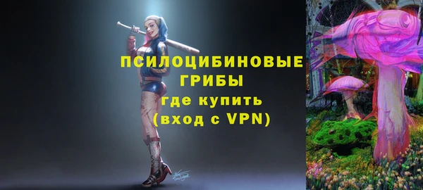 гашик Заволжск