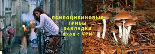 гашик Заволжск
