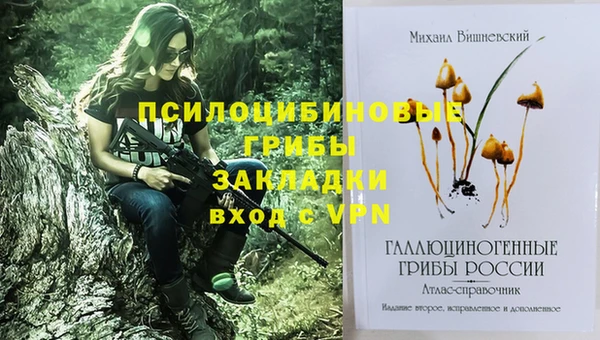 мдпв Елабуга