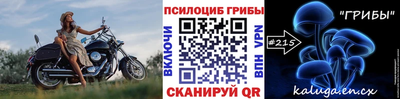 Купить  Курганинск  Псилоцибиновые грибы мицелий 